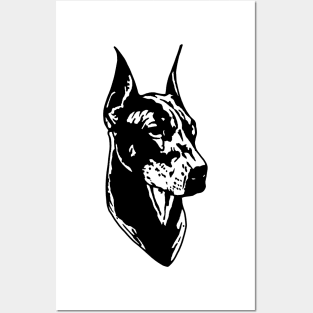 Black dobermann Posters and Art